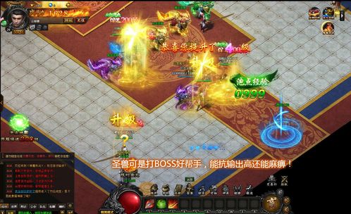 新开合击传奇网站,重燃你的战斗激情(新开合击传奇网站,最新的传奇玩法)